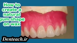 How to create a natural gum shape on wax